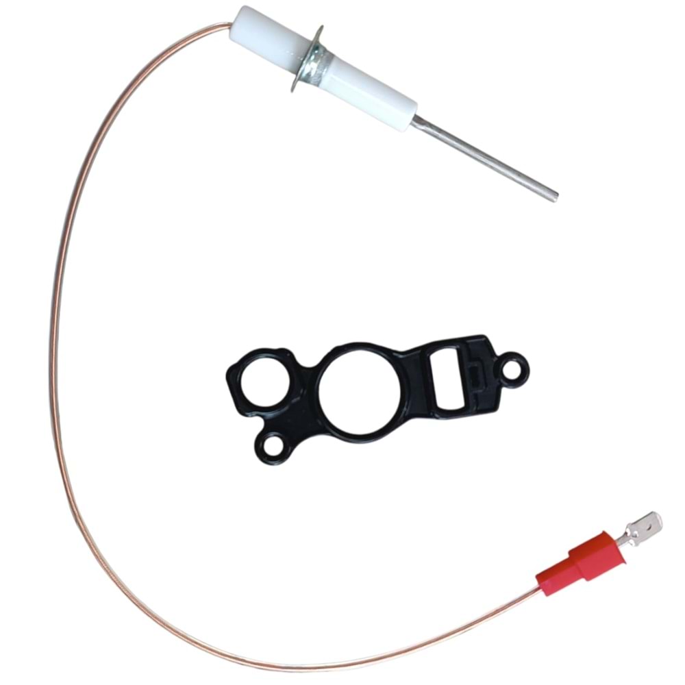 BUDERUS GB 022 İYONİZASYON ÇUBUĞU