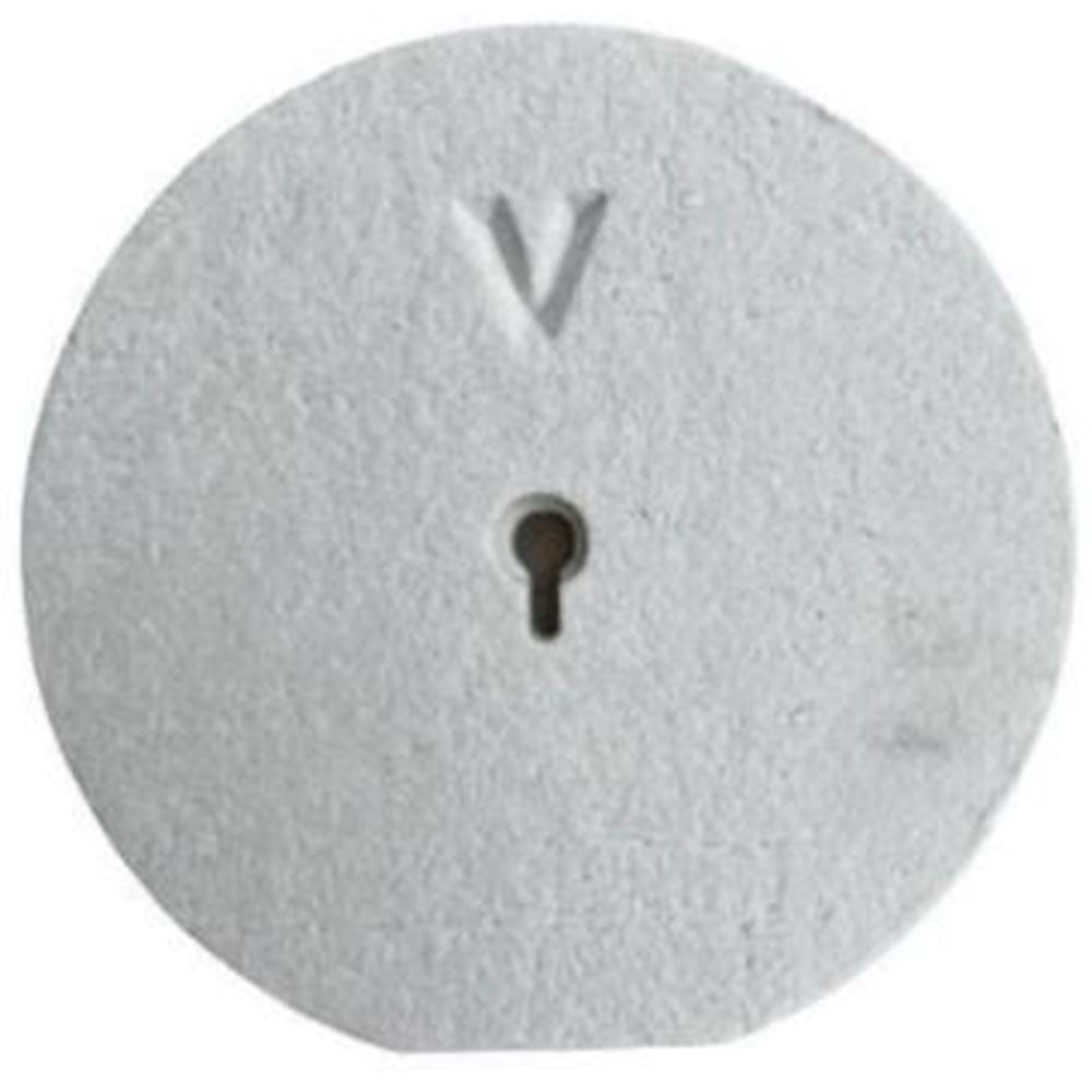 AMYANT VİESSMANN ARKA